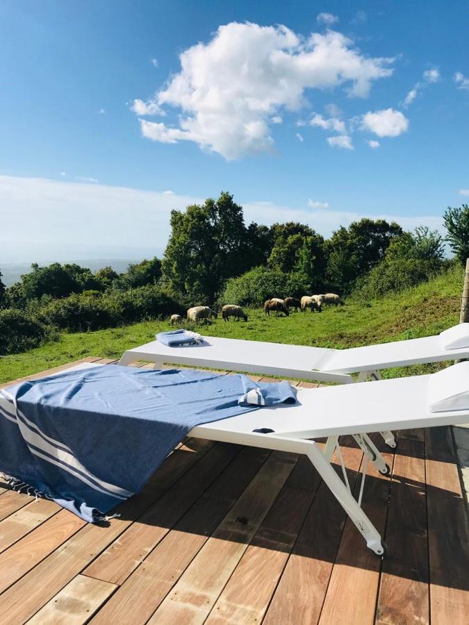 Villa Poggio Santa-Maria-Poggio  Esterno foto